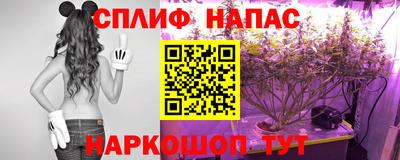 спиды Бузулук