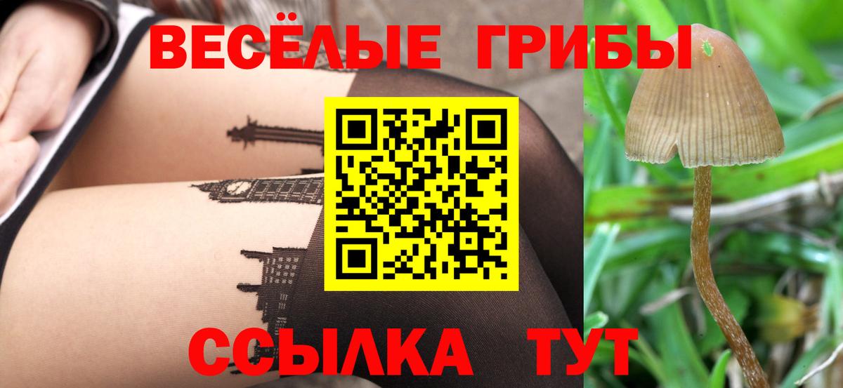 Псилоцибиновые грибы GOLDEN TEACHER Улан-Удэ
