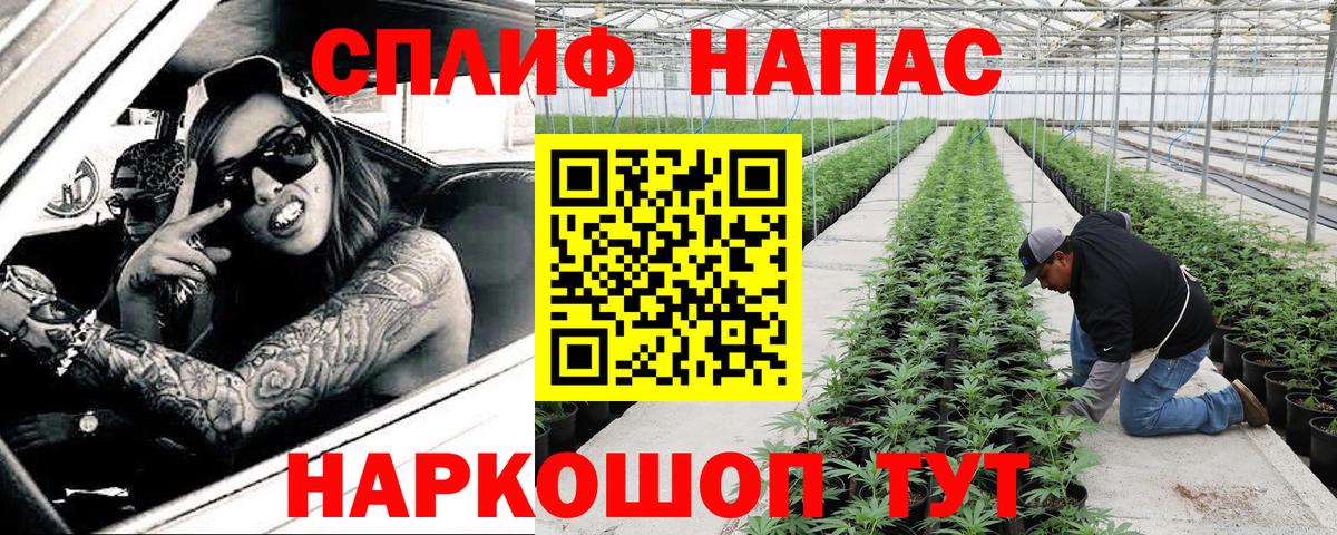 Бошки марихуана White Widow  Вход с VPN  Шишки марихуана конопля  МАРИХУАНА конопля  Улан-Удэ 
